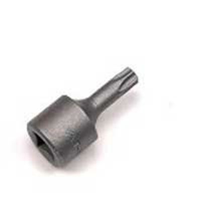 1/4" Square Drive Bit for Torx Screw - TX20