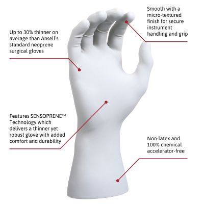 GAMMEX Non-Latex Sensitive Disposable Non Latex Multi-Purpose , Powder Free Chemical Accelerator-Free Surgical Glove for Healthcare, Surgical or Veterinary Settings, Natural, Size 8.5, Case of 400 Units