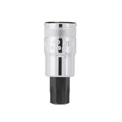 Torx Bit Socket, 1/2" Drive, T60, Chrome