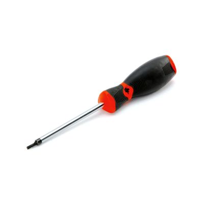 Torx Bit Screwdriver, T10