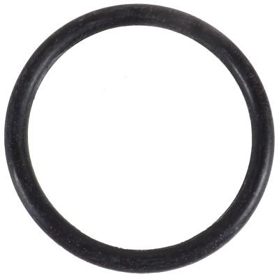 O-Ring, Epdm, For BA10 #220