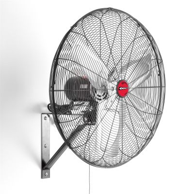 30" INTERNAL ORBIT WALL FAN