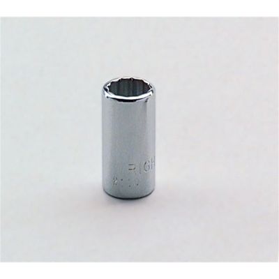 1/4"Dr 12Pt Std Skt 1/2"