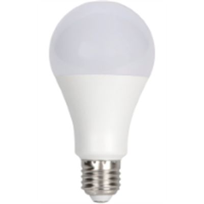 LED Light Bulb 12W 120V