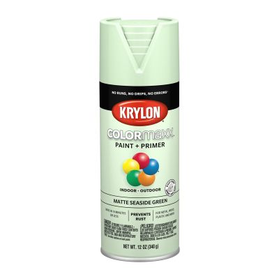 Krylon COLORmaxx Paint + Primer, Matte Seaside Green