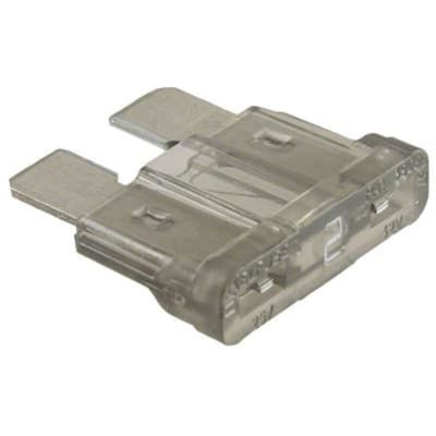Mini Fuse 2 Amp (100/Bag)
