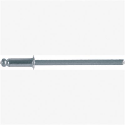 SS Rivet Mandrel Moulding Ford