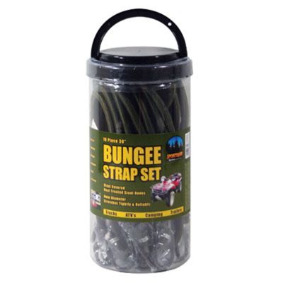 10 Piece 30 Inch Bungee Set