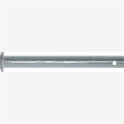 Door Hinge Ford Cars 1979 To 1993, Size: 11/32", Size: 9/16", Length or Range: 3-3/8", Qty: 10
