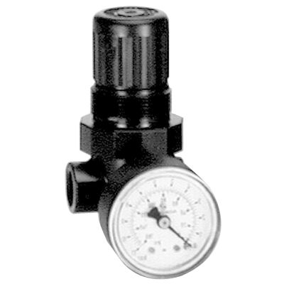 1/4" Mini Regulator