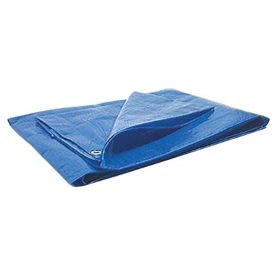 Tarp (6 x 8)