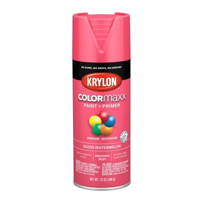 Krylon COLORmaxx Paint + Primer, Gloss Watermelon