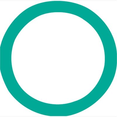 O'Ring # 10