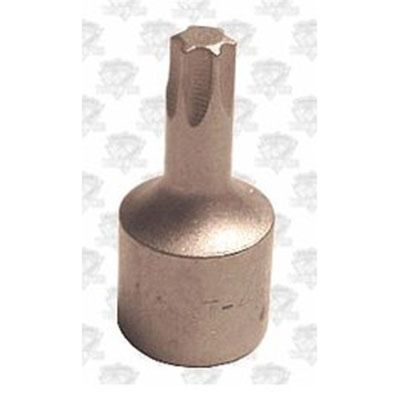 3/8" Square Drive Bit for Torx Screw - TX45