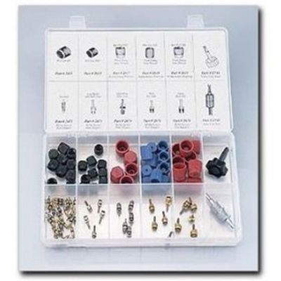 Cap/Valve Core Asst w/Tools