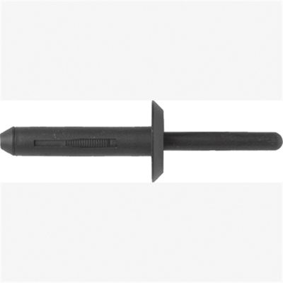 Blk Nyl Blind Rivets Ford