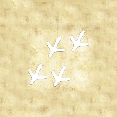 Turkey Tracks- Vinly Die Cut Decal 6" x 8" WHITE