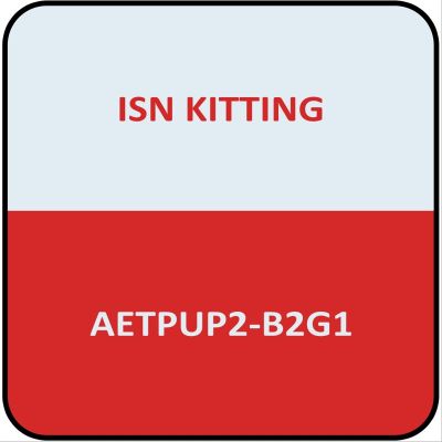 AETPUP2-B2G1