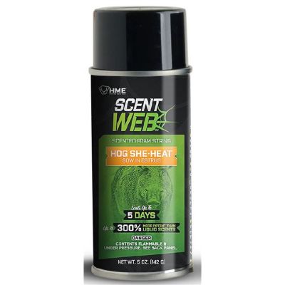 Hog Scent Web Sow in Estrus