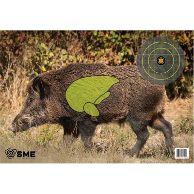 Feral Hog Target