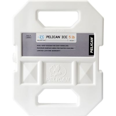 5 LB. ICEPACK MASTERPACK TRAYPACK
