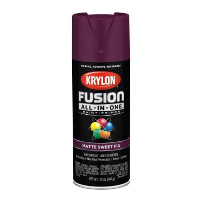 Krylon Fusion All-In-One Paint + Primer, Matte Sweet Fig