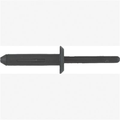Blk Nyl Blind Rivets Chry