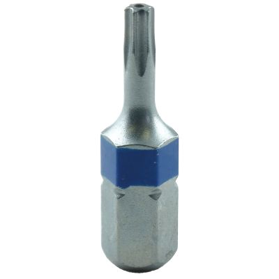 T9 x 1/4" Drive Tamperproof Torx Bit (EA)