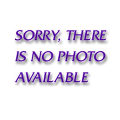 Replacement Black Hose Tip for DanAm Air Vac