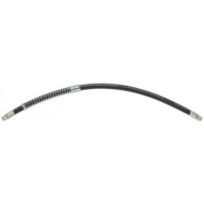 Flex Hose 18" w/Spring