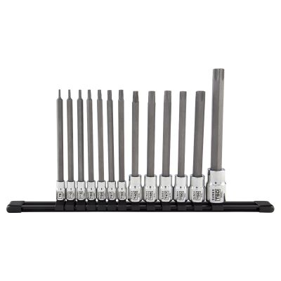 1/4", 3/8" and 1/2" Drive 13 Piece Chrome Long Star Bit Socket Rail Set