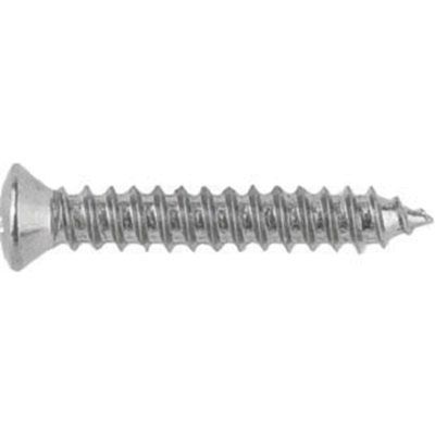 Phillips Oval Head Sheet Metal Screws Size: 8 x 1", Head Size: #6, Finish: Chrome, Qty: 100