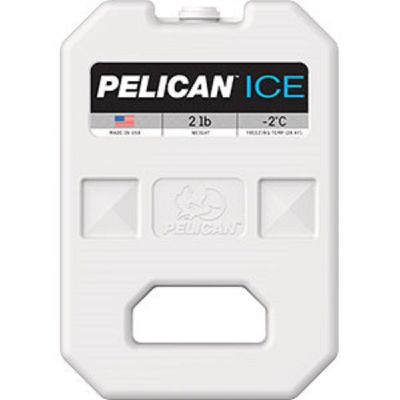 2 LB. ICEPACK MASTERPACK 6 TRAYPA