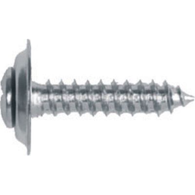 Phillips Oval Head Trim Screw, Size: 10 X 1", Head Size: #8, Finish: Chrome, Qty: 100