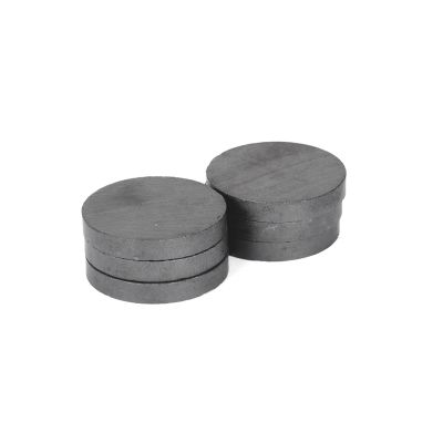 Titan 6-Piece 1 in. Ceramic Mag Discs
