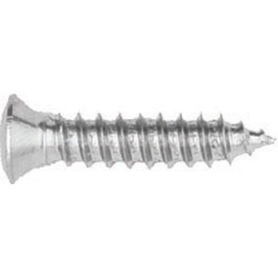 Phillips Oval Head Sheet Metal Screws Size: 8 x 3/4", Head Size: #6, Finish: Chrome, Qty: 100