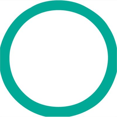 O'Ring # 12