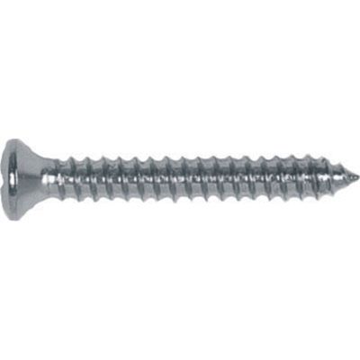 Philips Oval Head Shee Metal Screw Chrome, Size: #8, Size: #8, Length or Range: 3/4", Qty: 100