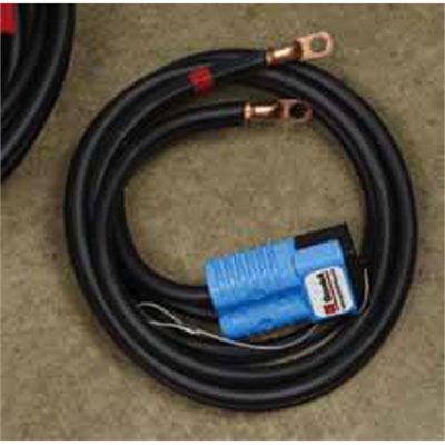 PLUG W/BATTERY CONNECTORS