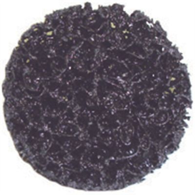 2" Stripping Disc (Quick Change Type) Black Nylon, Strip Away Disk (25/Box)