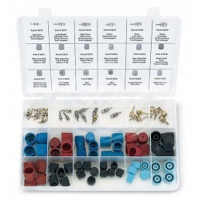 FJC2683 image(0) - Master Valve Core & Cap Assortment