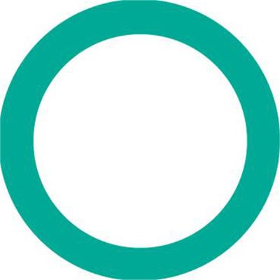 O Ring, 10 Pack