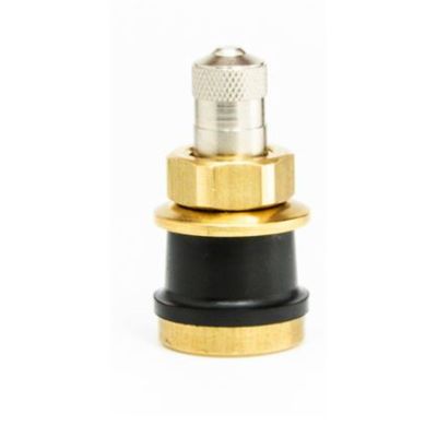 Straight Brass Truck Valve - 10PK