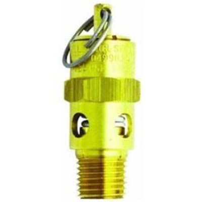 ASME Saf. Valve 1/4"NPT 125