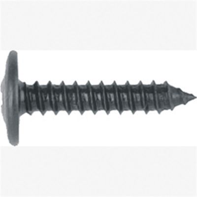 ABD6204B image(0) - Philips Oval Washer Head-GM