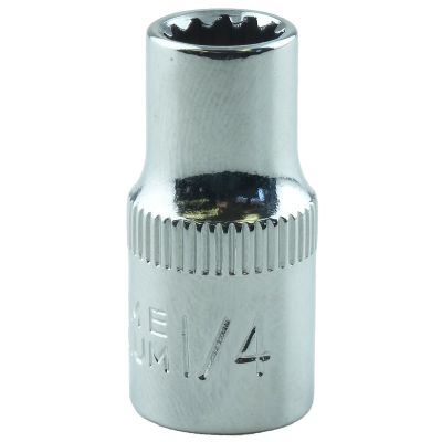 1/4 in. x 1/4 in. Drive Chrome Spline Socket (EA)