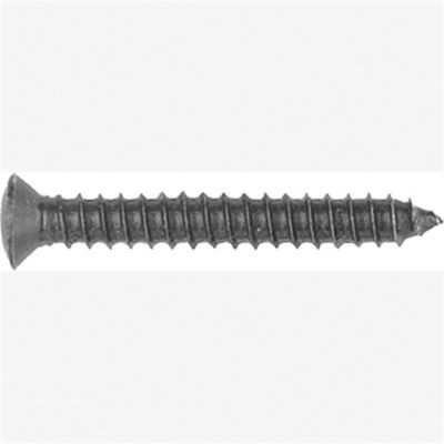 Torx Oval Head Trim Screws, Size: 4.2-1.41 x 30mm, Head Size: 7mm, Finish: Black Stnless Steel, 100
