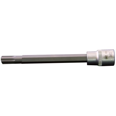 1/" Drive #10 Polydrive Head Bolt Socket