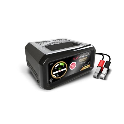 Fully Automatic Battery Charger
