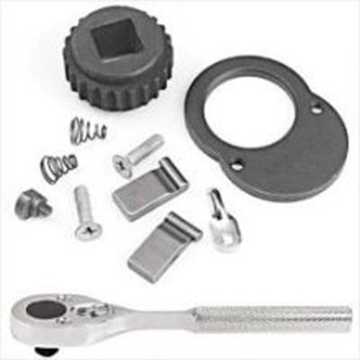 PRO5249RK image(0) - RATREPAIR KIT